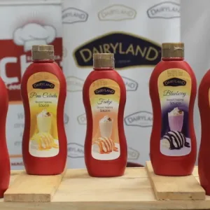 Dairyland Topping Sauce